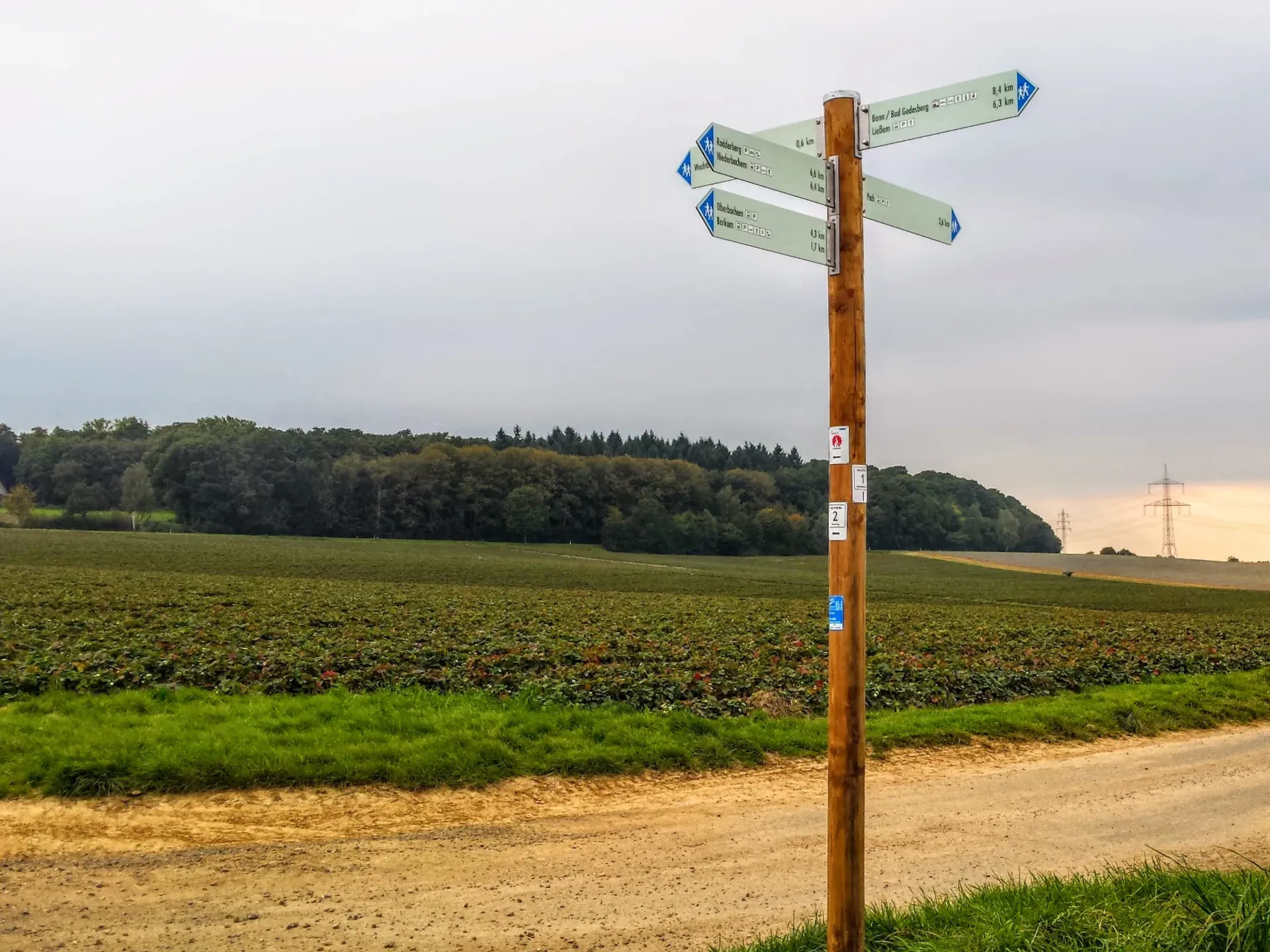 Wegweiser und Beschilderung im Gelände